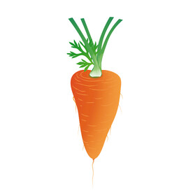胡萝卜 