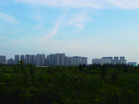 蓝天  城市    风景   