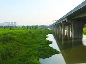 湖边  城市    风景   