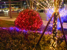 过年 灯花  年味 