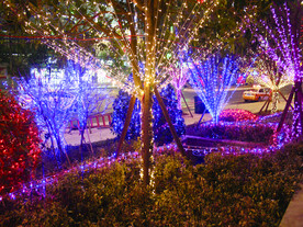 过年 灯花  年味 