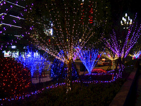 过年 灯花  年味