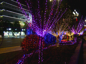 过年 灯花  年味 