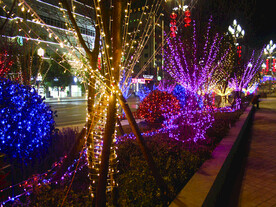 过年 灯花  年味 