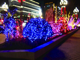 过年 灯花  年味 