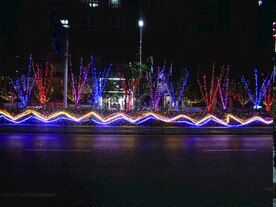 过年 灯花  年味