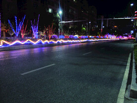 过年 灯花  年味