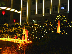 过年 灯花 麦子 