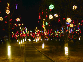 过年  灯花  年味  
