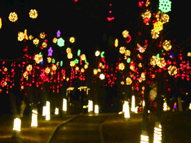 过年  灯花  年味   