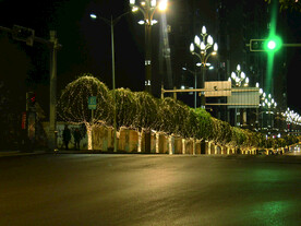 过年  灯花  年味   