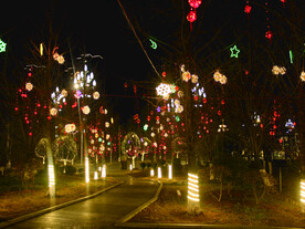 过年  灯花  年味   
