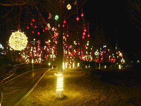 过年  灯花  年味