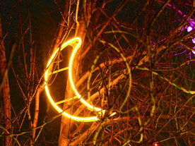 过年  灯花  年味 