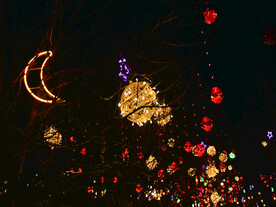 过年  灯花  年味   