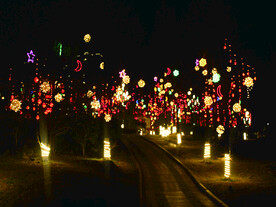 过年  灯花  年味  