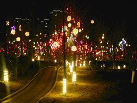 过年  灯花  年味   