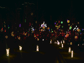 过年  灯花  年味   公园