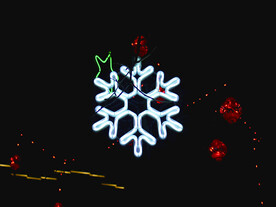 过年  灯花  年味  