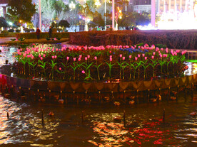 过年  灯花  年味 