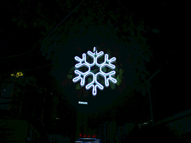 过年 灯花   雪花