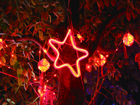 过年 灯花 年味