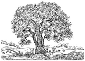 果树线描插画背景