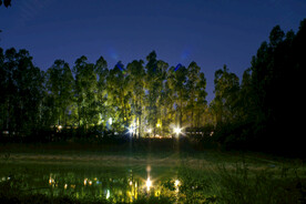 深夜山区树林灯光