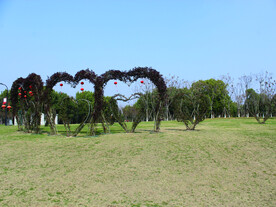 风景   植物园    大自然