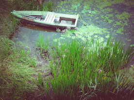 湿地上的木划艇