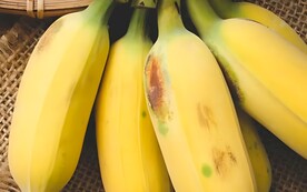 香蕉