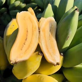 香蕉