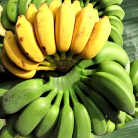 香蕉