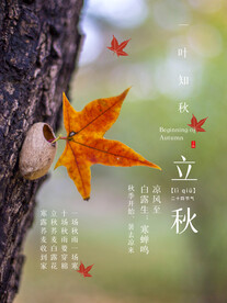 立秋 落叶