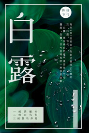 白露 二十四节气