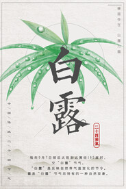 白露 二十四节气