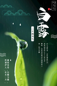 白露 二十四节气