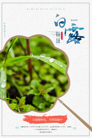 白露 二十四节气