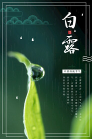 白露 二十四节气