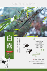 白露 二十四节气