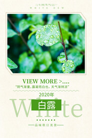 白露 二十四节气