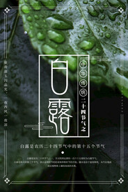 白露 二十四节气