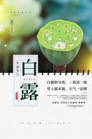 白露 二十四节气