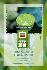 白露 二十四节气