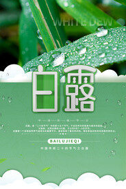 白露 露珠 二十四节气