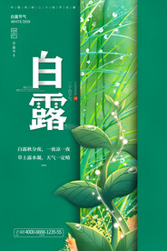 白露 二十四节气