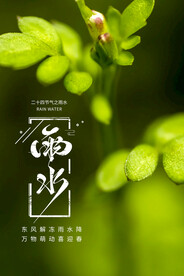 24节气 雨水