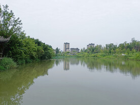 龙凤古镇 观音湖