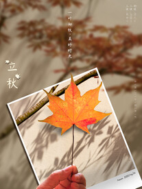 立秋 树叶 节气