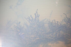 山塘水质清澈见底的水草